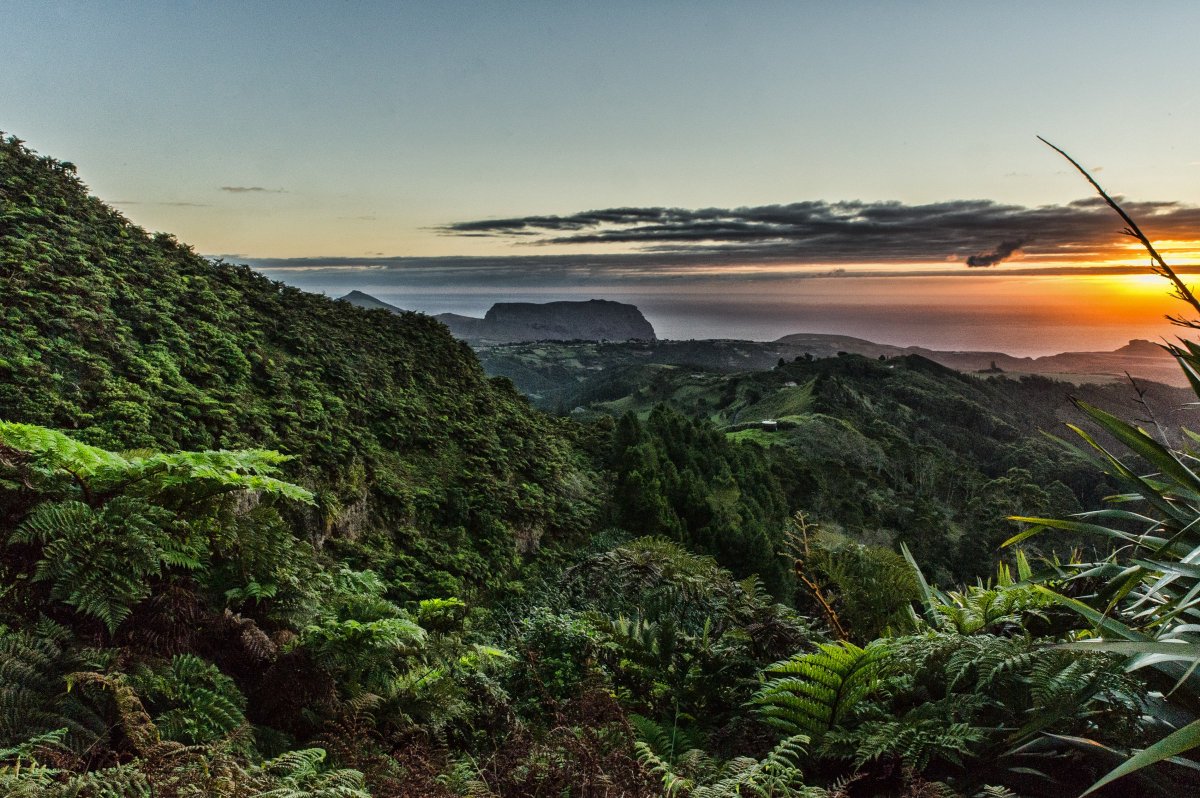 sthelenatourism's tweet photo. Photos that will put St Helena on your bucket list.
When thinking of St Helena many think of a unique out of this world experience and it is easy to see why. Airlink are offering a special excursion fare between January and February https://t.co/1aLQXAa4rH to #UniqueStHelena https://t.co/AOXpOBwNsR