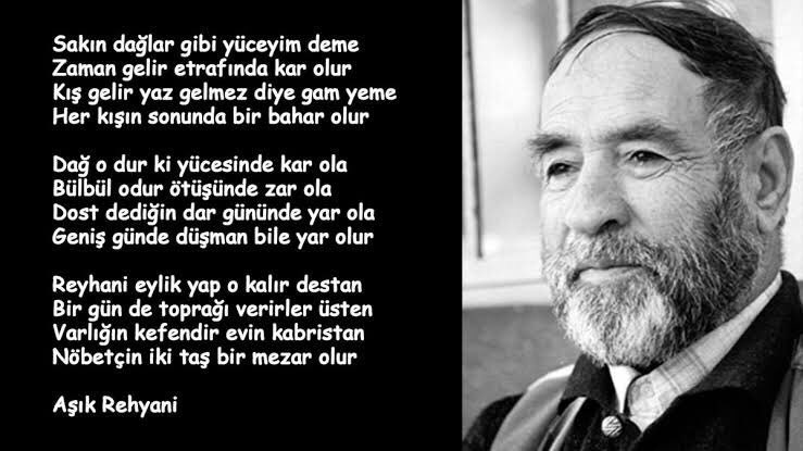 Yovvoyi qattiq jinsiy aloqa