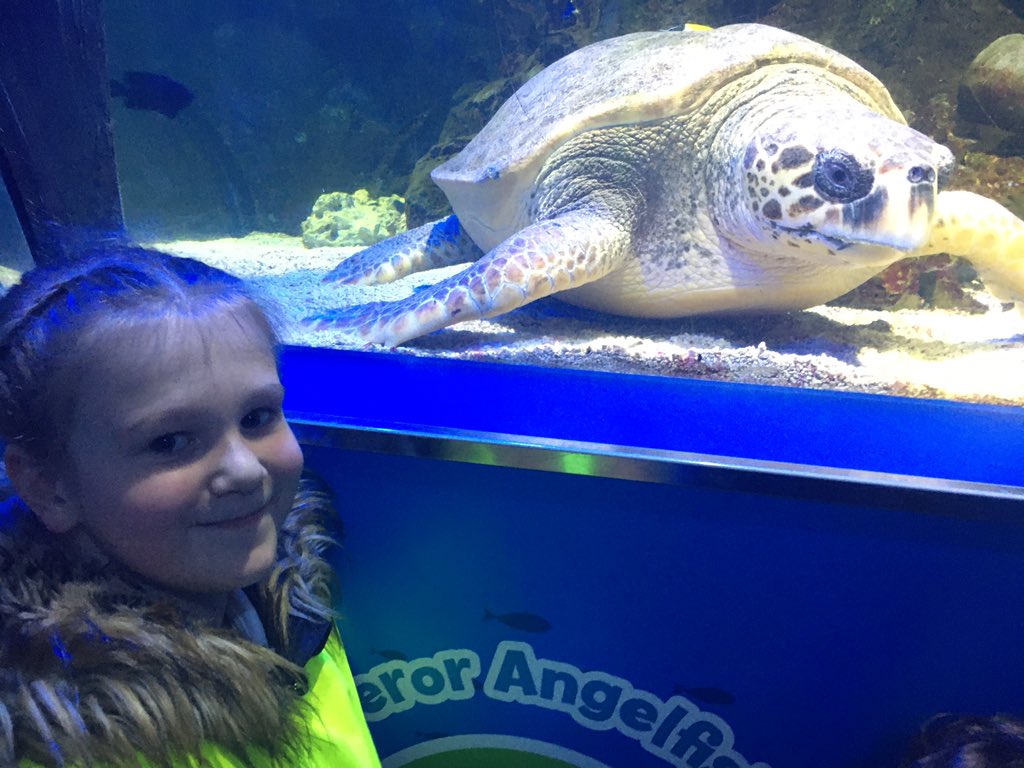 Having a great time at the <a href="/SEALIFEScarboro/">SEA LIFE Scarborough</a> in Scarbados. #teamcroxby #croxbymagic