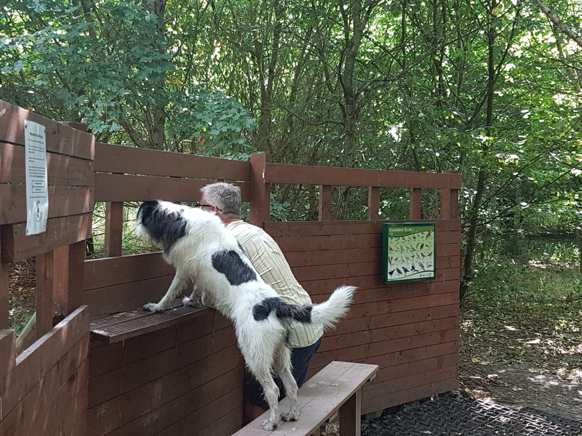 samshotshots's tweet photo. What’s all this bird watching about then dad ⁦@todacs⁩ #todacs https://t.co/VODDH3WDOY