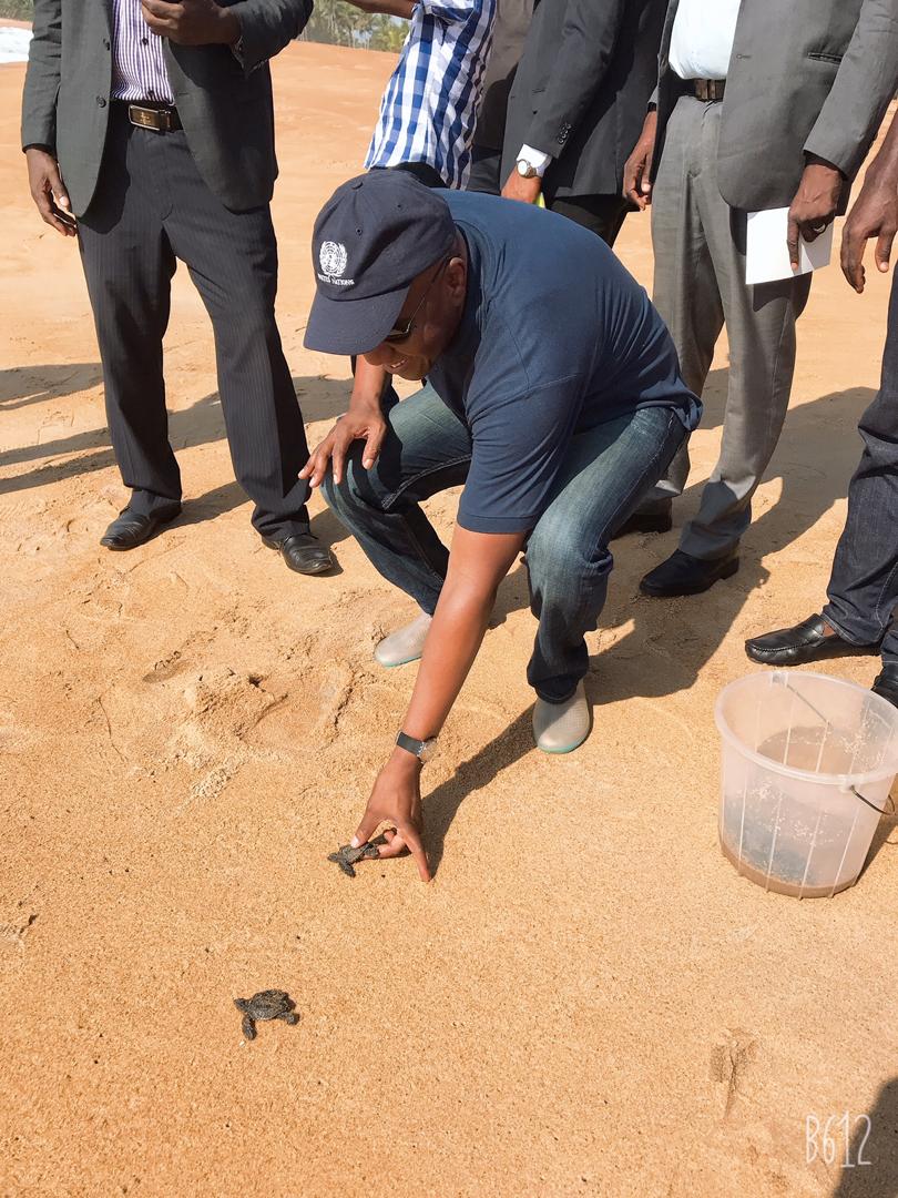 UNAbjConvention's tweet photo. Relâchée de bébés #tortues en #mer par @AbouBamba_CIV. Mission #AMP à #GrandBereby organisée par @UNAbjConvention, et ses Partenaires Financiers. @Mineddci #CIAPOL #OIPR #CEM https://t.co/VKxOWEptpm