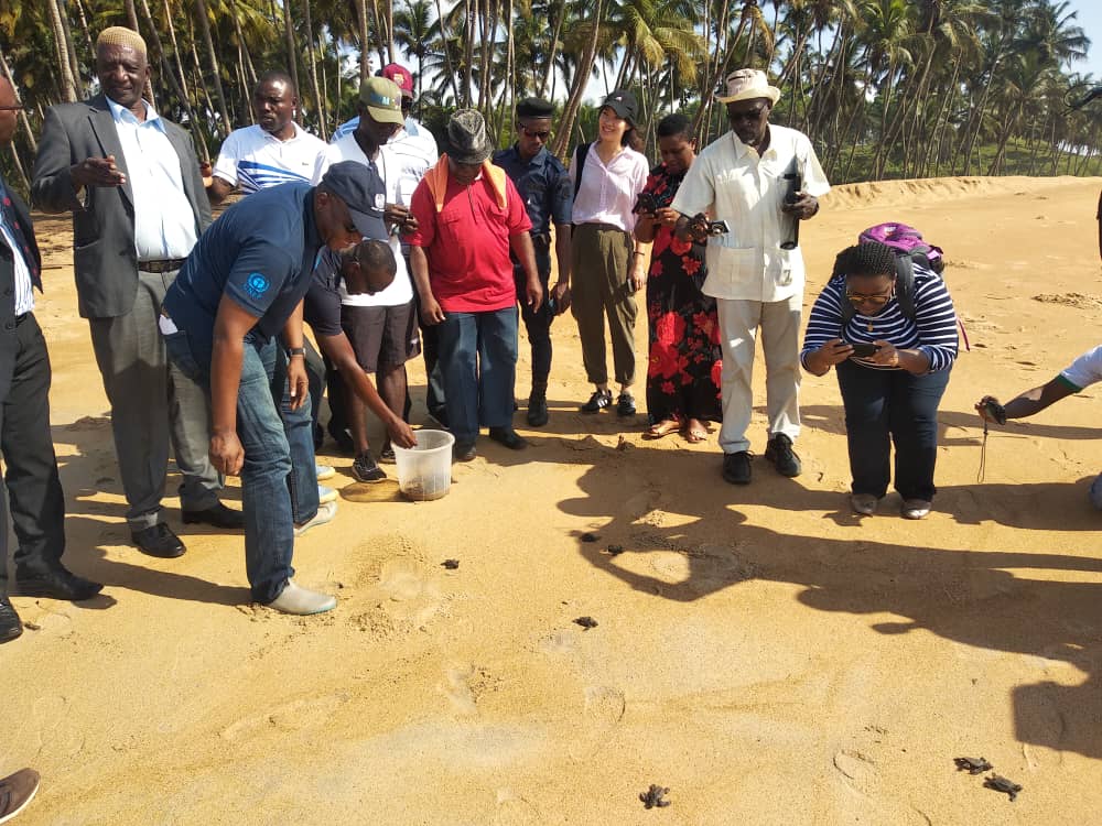 UNAbjConvention's tweet photo. Relâchée de bébés #tortues en #mer par @AbouBamba_CIV. Mission #AMP à #GrandBereby organisée par @UNAbjConvention, et ses Partenaires Financiers. @Mineddci #CIAPOL #OIPR #CEM https://t.co/VKxOWEptpm