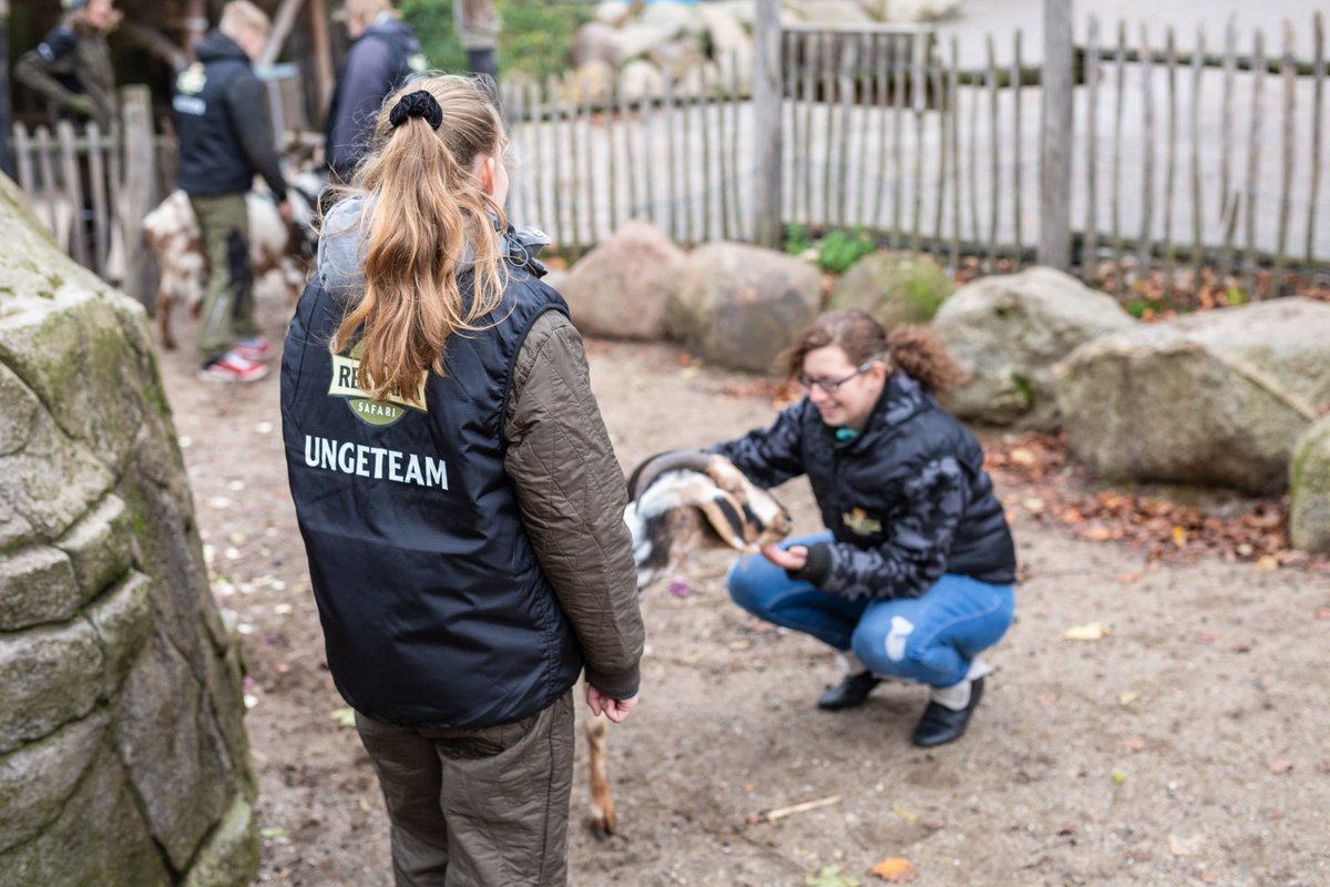 SyddjursKom's tweet photo. Vilde dyr, gode kolleger og fællesskab er en succes for en gruppe unge der har svært ved uddannelse og arbejdsmarked. De er nu en del af Ree Park Safaris Ungeteam  - et nyt partnerskab mellem Ree Park Safari og Syddjurs Kommune. https://t.co/AyGXfImOtM https://t.co/DSvhXj1zQY