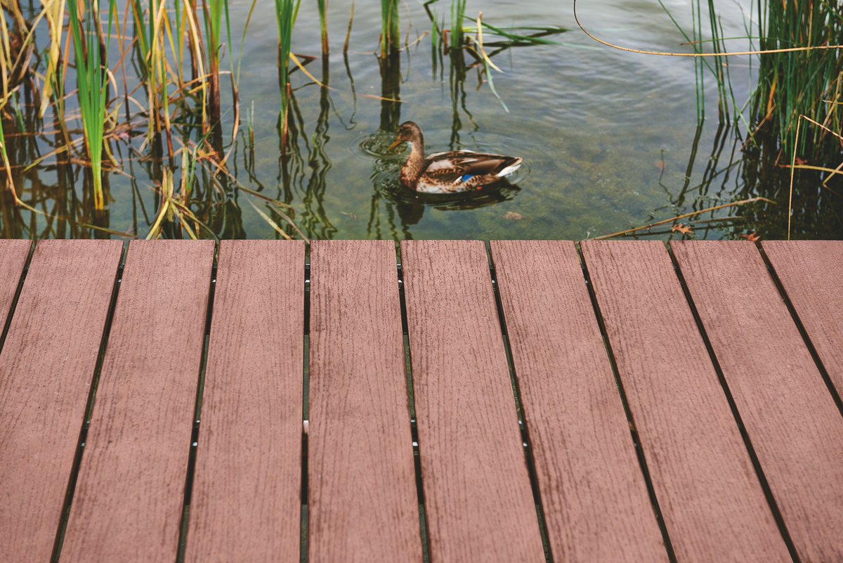 NATURinFORM's tweet photo. Die Veranstaltungs #terrasse vor Schloss #Moritzburg in #Zeitz. Hier ist es wichtig, dass die #Diele pflegeleicht und rutschfest ist. Außerdem kombiniert sie Belastbarkeit mit edler #Holz optik: https://t.co/lWnmULiE8B #wpc #pefc #recyclebar #madeingermany #ObjektdesMonats https://t.co/4JqX4PTZqI