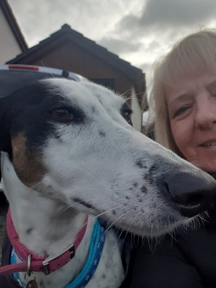 Coachline_Ins's tweet photo. Michelle is powering her way through her 12k of Christmas supporting @LingenDavies Cancer Fund. 🚶‍♀️
Walking or running 1k a day through December 🙌
Totally committed to the cause even in the #Angleseywind! 🌪️🍃🌬️🙌
#CoachlineCares 
#CharityTuesday
#BusInsurance 
#DogsOfTwitter https://t.co/q2FPmc27Kh