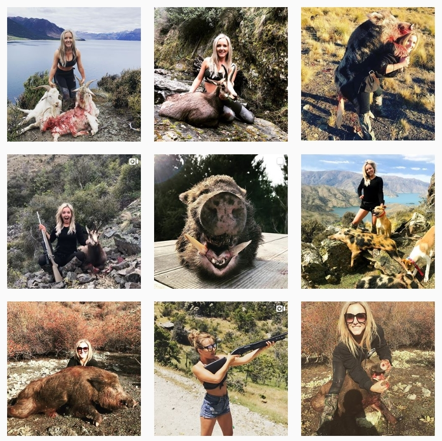 OnlyGerier's tweet photo. Instagram te elimina fotos e incluso puede llegar a cerrarte la cuenta si se te ve un pezón, pero a estos perfiles de sádicas asesinas de animales no les pasa nada. Ahí está, con sus 40k followers, mofándose de todo. No entiendo nada. https://t.co/lXLARLPKxk