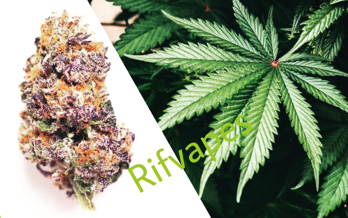 Just for information

Cannabis strains are made up of cannabinoids (like THC and CBD) as well as terpenes, which are aromatic compounds that give each flower its unique aroma.