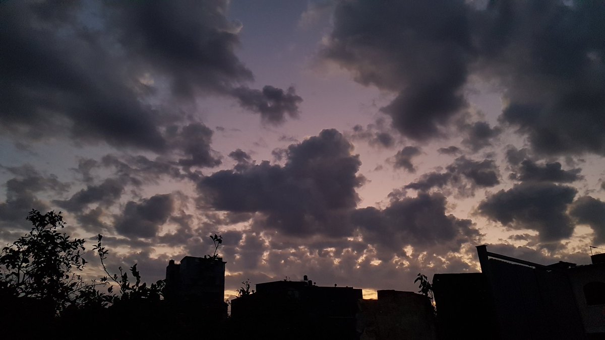 mahmoudthari's tweet photo. GAZA 🔥 https://t.co/TEVgGiBT3w