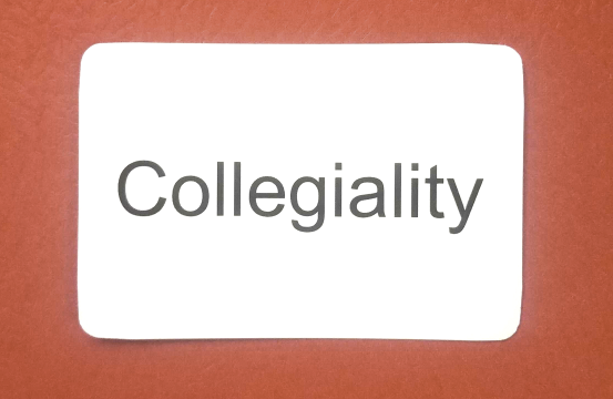 HuMetricsHSS's tweet photo. Today's Daily Value is collegiality. How are you embodying collegiality in your work today? How can you see it embodied around you? How does collegiality interact with other values, such as candor, equity, and diversity? #DailyValues https://t.co/1aclPHIWAe