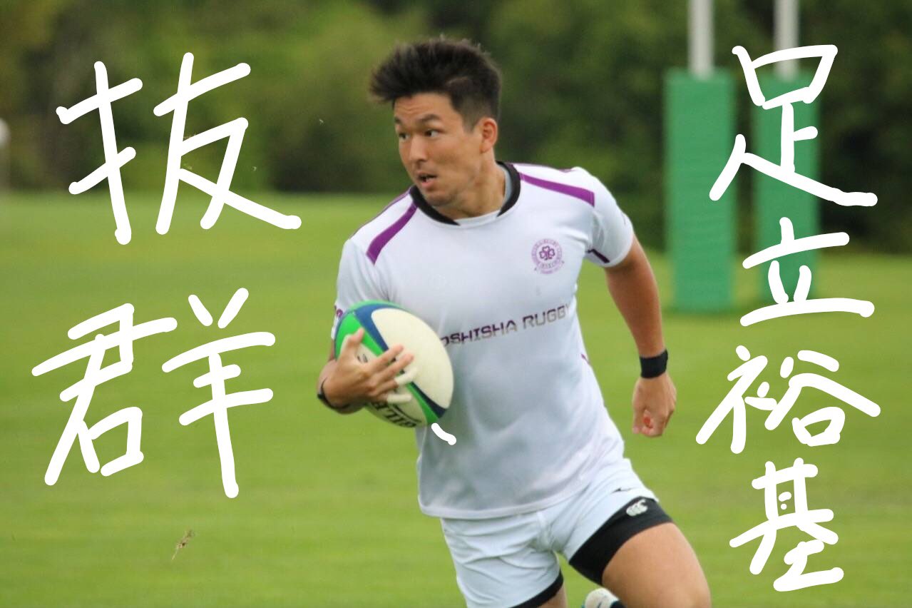 同志社大学ラグビー部 ネクタイ OB用