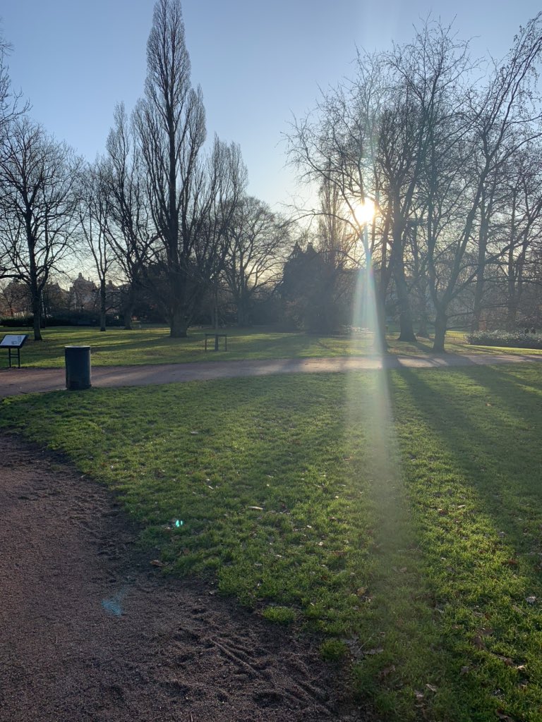 Dane Braun tweet media