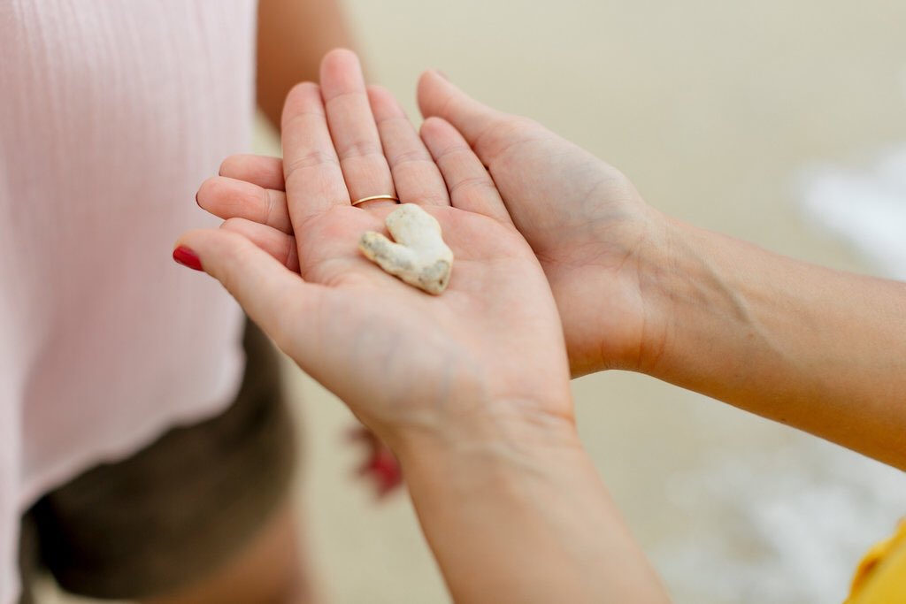 En panne d’idées pour vos cadeaux de noël ? 🎁

Et si cette année, vous glissiez la blogschool au pied du sapin ? 🎄

C’est simple, rapide et super efficace ! 😉 (Plus d’infos sur notre compte FB ou sur notre Instagram !)

N’attendez plus 👉🏻 blogschool.fr