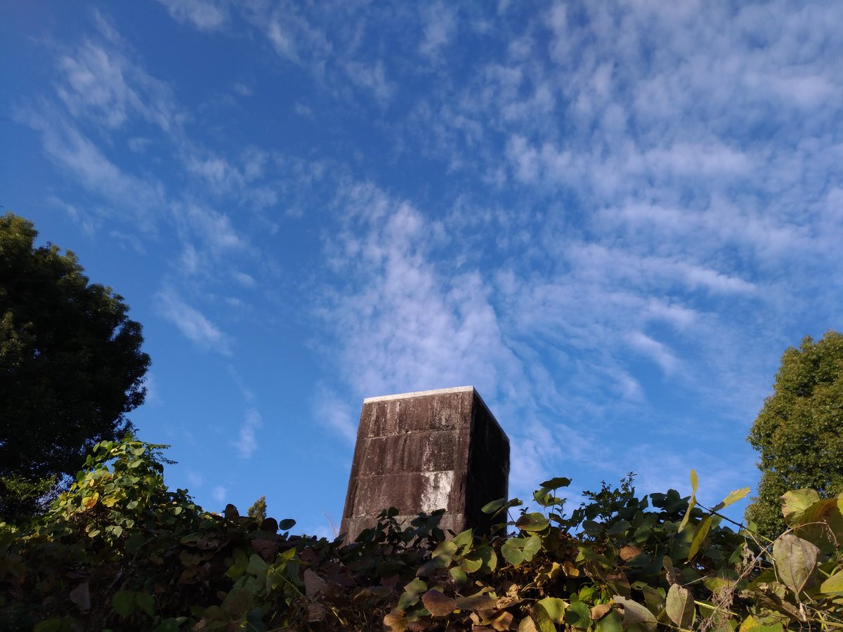 kokoron555's tweet photo. 城の鼻公園の慰霊碑の上空に火の鳥が出現した！！凄いパワースポットだ！！

#城の鼻公園 #慰霊碑 #火の鳥 #パワースポット #熊本市南区 #熊本 #power_spot #shironohana_park #kumamoto #fire_bird #a_cenotaph https://t.co/EN5NsPiRl4