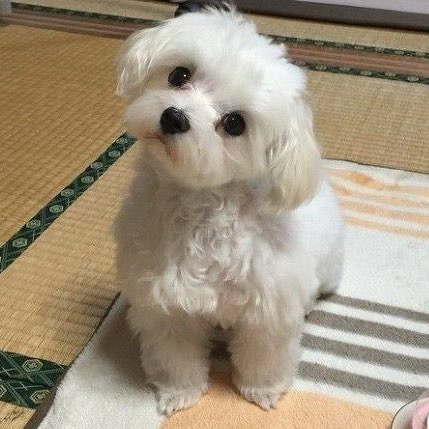 this__is_minkyu's tweet photo. #이거김민규
#김민규 https://t.co/h1YN6L8ENi