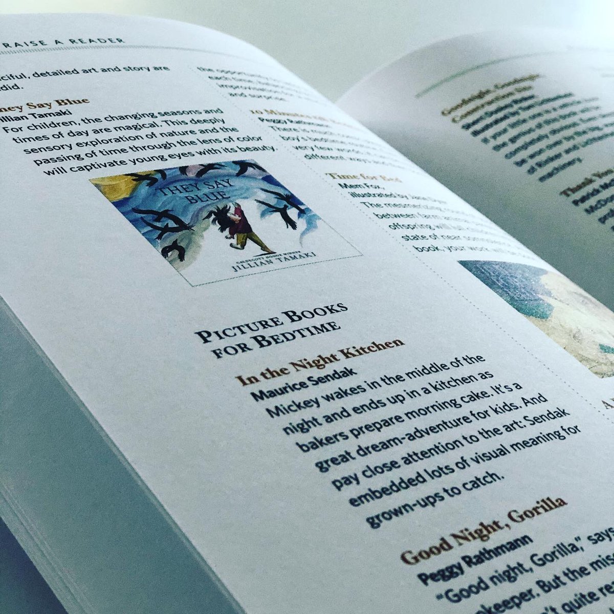 bookgiftblogger's tweet photo. We had to share the bible for #howtoraiseareader Written by two giants in the publishing world @PamelaPaulNYT & @mariarussonyt This is your guide to keeping your little ones, teens & bigger ones reading. Complete with examples of #picturebooks #chapterbooks #graphicnovels & more https://t.co/Oxz4B69hA7