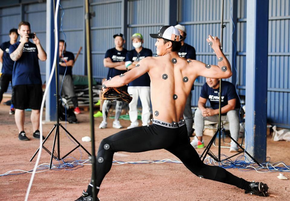阪神タイガース 19 藤浪晋太郎 2021 実使用 華やか トレーニング 阪神タイガース 19 藤浪晋太郎 2021 実使用 華やか トレーニング
