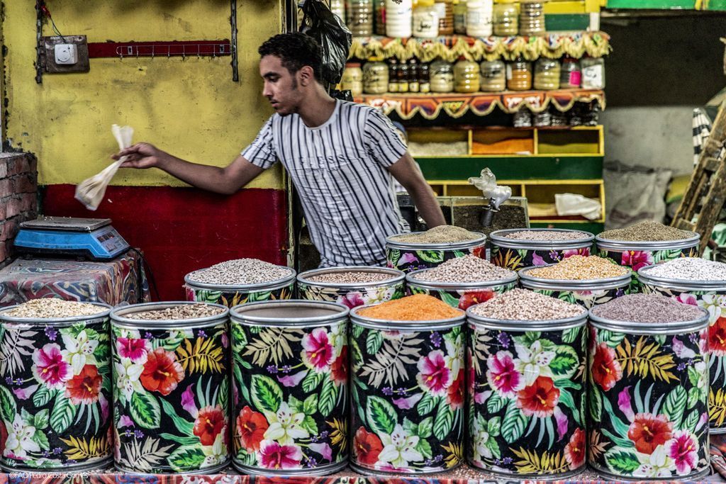 FAOstatistics's tweet photo. #DYK? The 🌎 produces about 77 mln tonnes of #pulses every year. Major producers❓

✅ South Asia
✅ sub-Saharan Africa
✅ North America
✅ Latin America and the Caribbean

Read this @FAO report to get #data &amp; stats on the global economy of pulses
👉 https://t.co/fRNDahyNcw https://t.co/NSH9QUCqtS