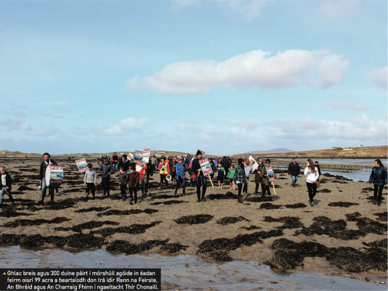Us_Irish's tweet photo. @Irishwildlife @BBKelpForest 2 months &amp; over 200 pages submitted
#Only24words change 
This government totally disregarded the public response to the #MarinePlanning Policy ignoring @osparcomm &amp; our Communities #DonegalSOS @DonegalSOS 
Disgusting @creedcnw https://t.co/boZXa3GeiB