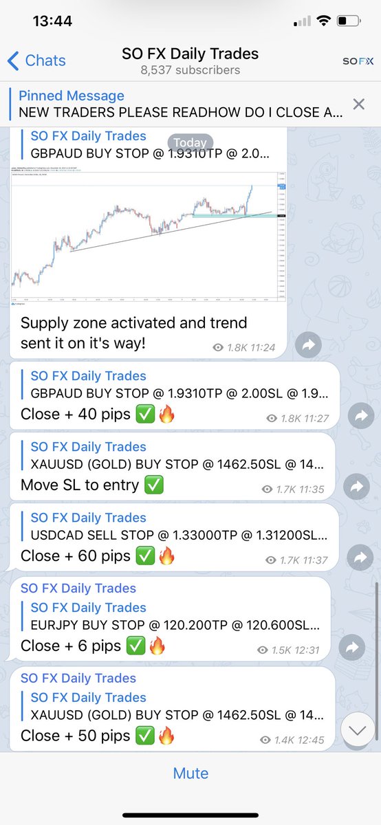 RyanSafe2's tweet image. 156 pips banked this morning alone in my FREE trading group. 8,537 clients are all making some extra money before Christmas. Have you heard of Forex trading before? Comment below. 🙌