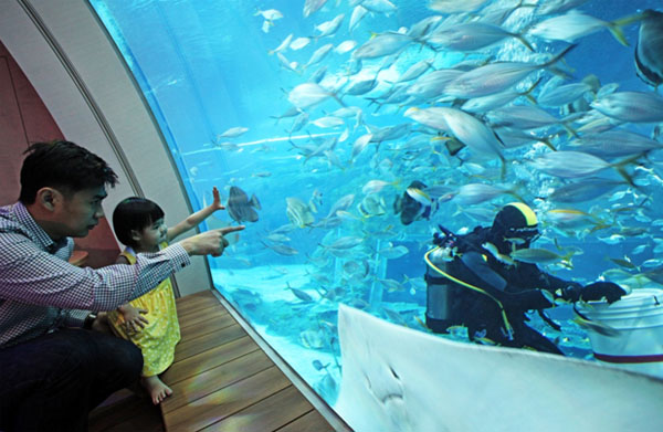 Wheretogowithkids Ocean Suites Singapore Who Is Brave Enough To Sleep Next To A Big Fish Tank Singapore Travel Wanderlust Holiday T Co Xmzkugpkny Twitter Wheretogowithkids Ocean Suites Singapore Who Is Brave Enough To Sleep Next To A Big Fish Tank Singapore Travel Wanderlust Holiday T Co Xmzkugpkny Twitter