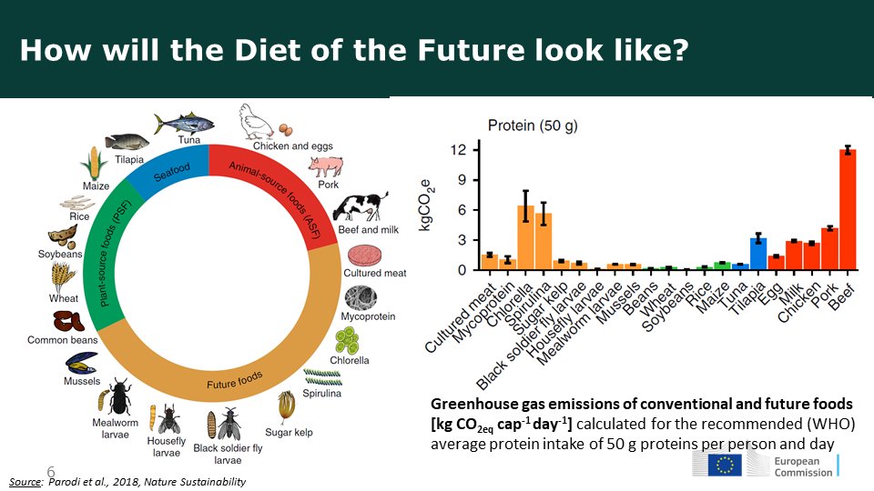 The diet of the future will include more plant proteins, insects, and other alternatives to meat 🌱🐟🐛🦗🧪 

Giovanni De Santi from <a href="/EU_ScienceHub/">EU_ScienceHub</a> 🇪🇺 #AgriOutlook