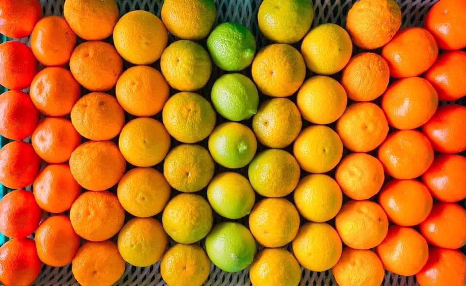 熊本農家のフルーツセットが綺麗すぎる！！