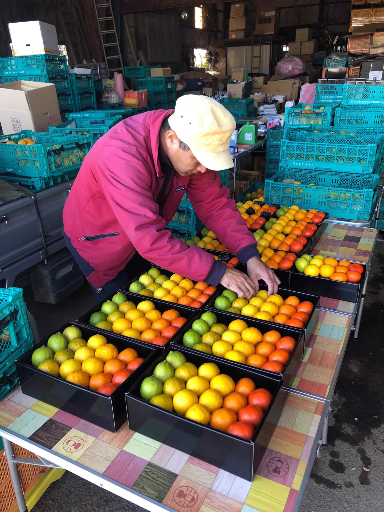熊本農家のフルーツセットが綺麗すぎる！！