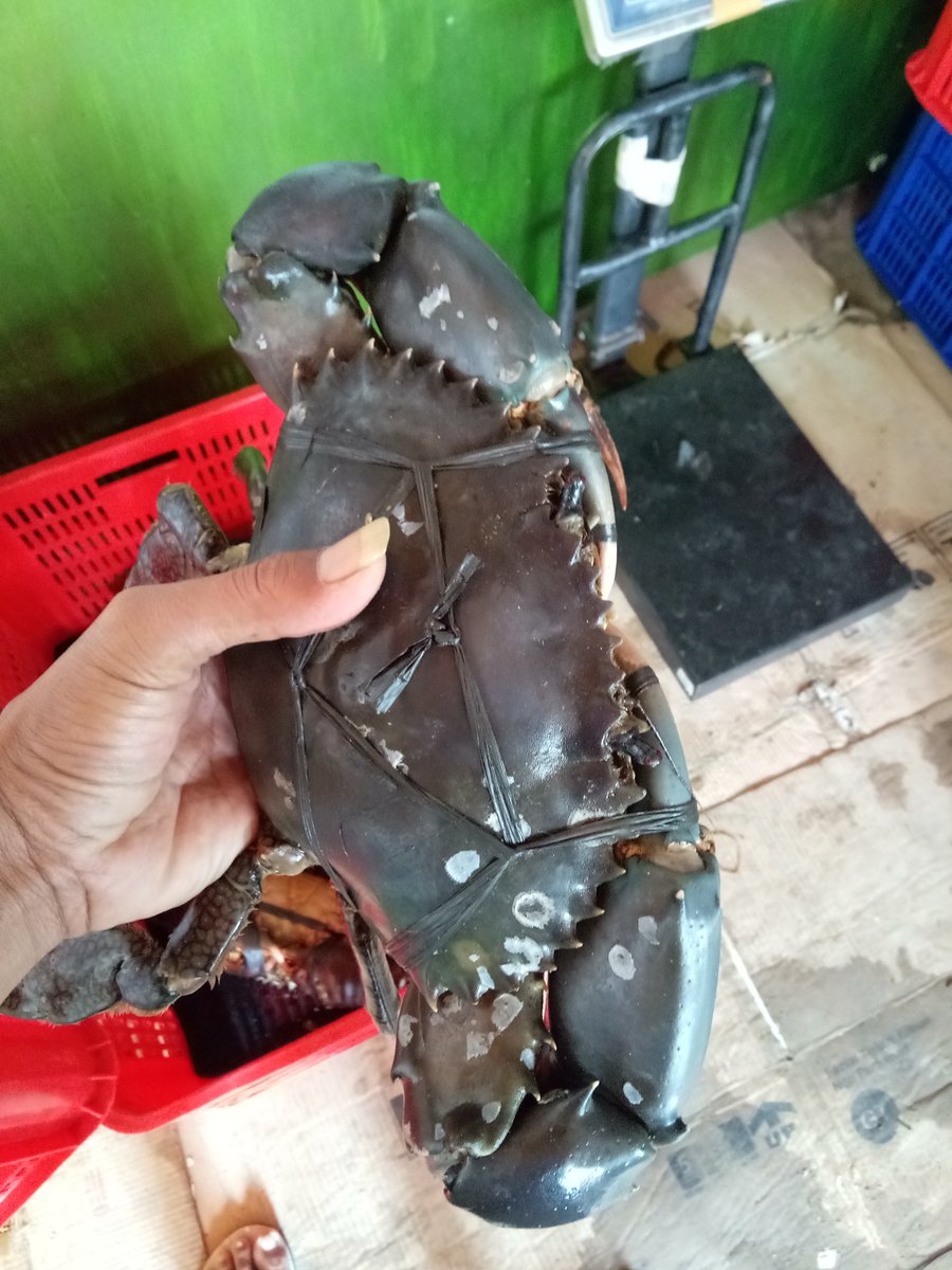 Mumpung masih muda... Kami tidak takut kolesterol... <a href="/susipudjiastuti/">Susi Pudjiastuti</a>