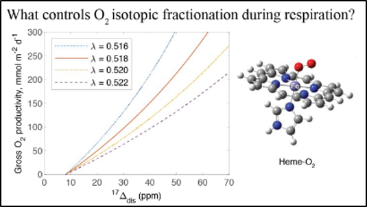 ACSEarthSpace's tweet photo. From @RiceEarthSci: @strangeisotopes, H. Hu &amp; @sneakypeteiii measure isotopes of O2 &amp; use first-principles modeling to infer that changes in O-O bond strength during O2-to-enzyme binding are a key driver of oxygen isotope fractionation during respiration: https://t.co/Ngedi48sHV https://t.co/kqJE9q9eUg