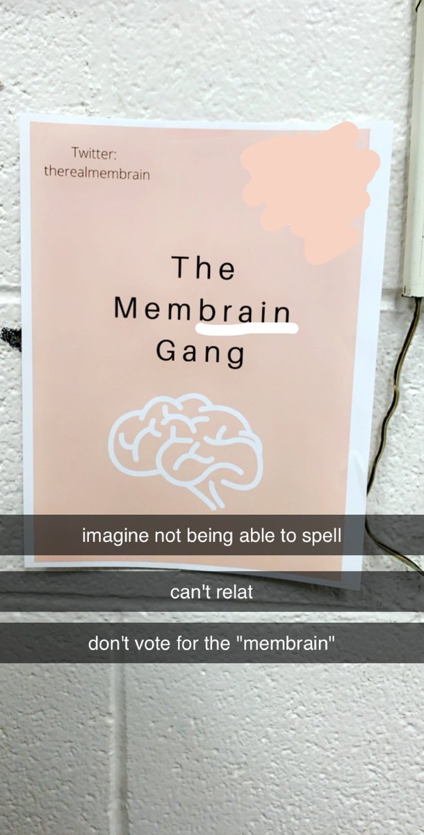 SavageLysosome's tweet photo. you're not even the "brain" membrane*
#RHSOrganelleWars
@therealmembrain https://t.co/JW5OcTPlTz