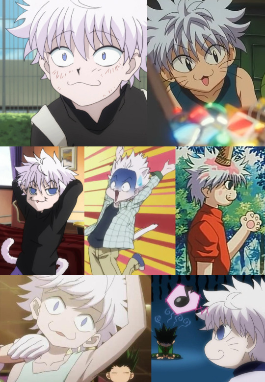 Killua's Catface. 