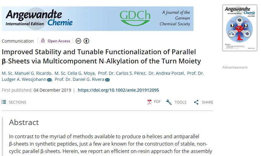 IPB_Halle's tweet photo. +++ News Ticker Science +++ Chemists @IPB_Halle  developed an efficient on-resin approach for the assembly of stable parallel β-sheet peptides with #multicomponentreaction. Recently published in @angew_chem https://t.co/oX6PBqlK3f ⚗️🥇🎯 https://t.co/QggqdUahOo