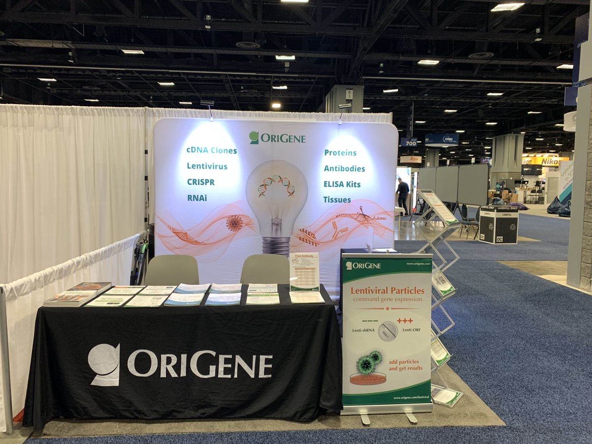 origenebio's tweet photo. Congratulations to Cara S. and Xiaobo W. on winning "Science is in my DNA" hoodies raffle from Day 2 of the ASCB conference. Last day today! Stop by booth #536 and put your name in the raffle! Winners will be announced at 3pm! https://t.co/7f1wrToac8 #ascb2019 https://t.co/uTsHfSYNYO
