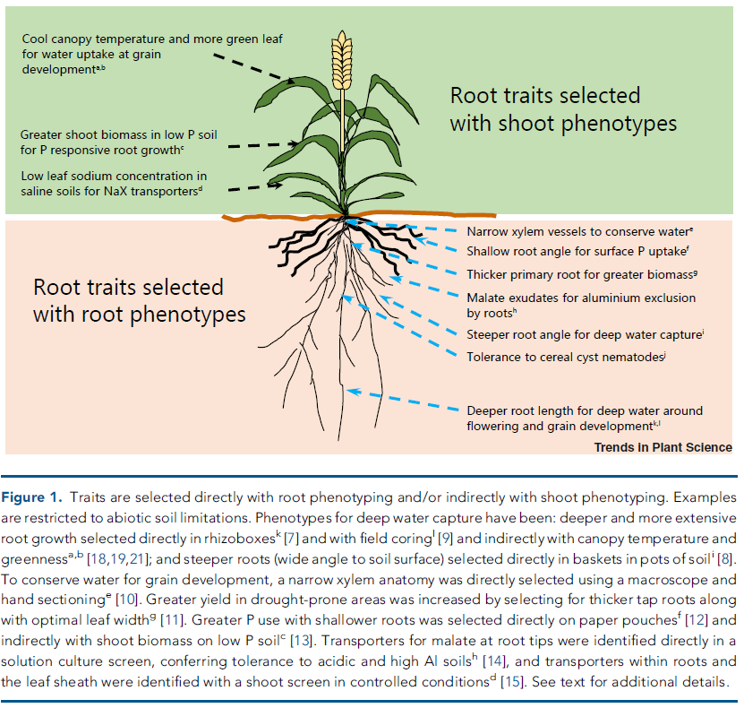 Larry M. York tweet media