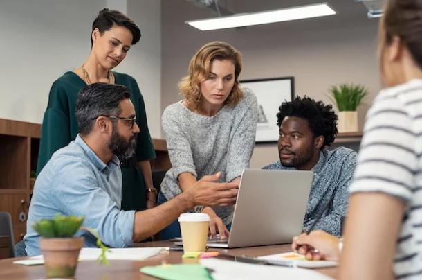 circle S studio tweet media