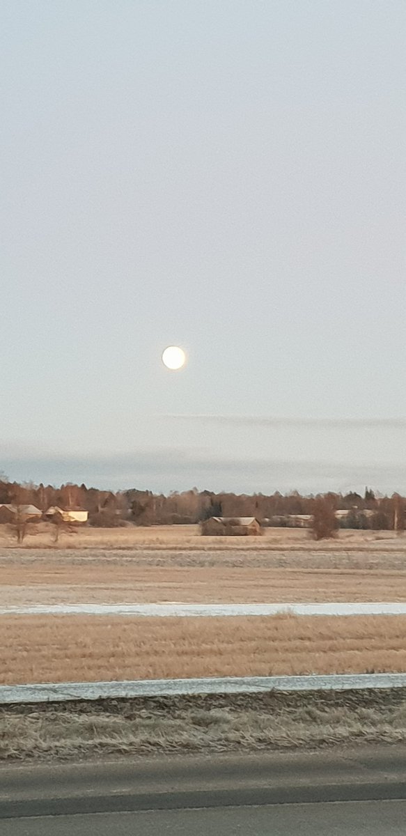 minnajarvinen_'s tweet photo. Äidin suvun kotikirkossa Kullaalla, nykyisin kuuluu Ulvilaan. #Kullaa #arkkihiippakunta #kirkkoarkkihiippakunnassa #realismijatoivo #puukirkko #ulvila https://t.co/LqDC3gbBzU