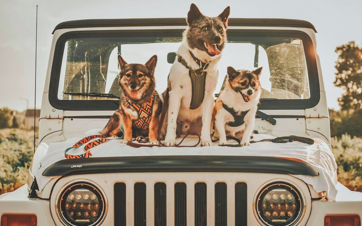 Trail gang.

📸: Jena S.