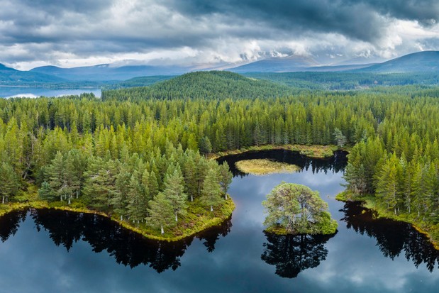 CountryfileMag's tweet photo. Our guide to the UK's spectacular 15 National Parks looks at the history of each, with information on how to visit and the best walking routes, plus local wildlife to spot: https://t.co/dQfaH58yZt https://t.co/HeMk8VEL7e