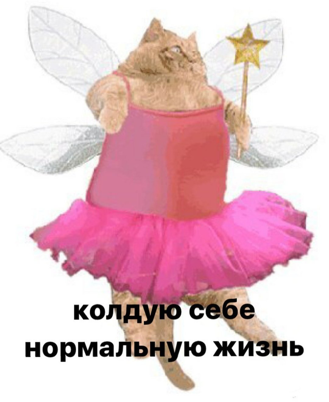 Котёнок в костюме феечки