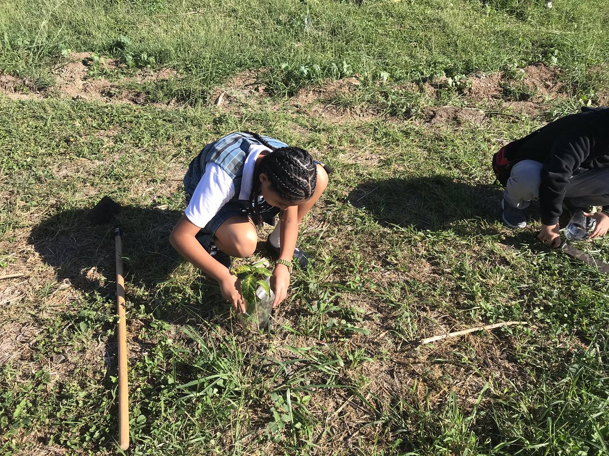 ArielCaraball12's tweet photo. Proyecto de reciclaje para crear un cover en los troncos de café para cuando pasen trimmer no sean cortados #agriculture #coffee #coffeetree #estudents #kids #school #inspiration #workinprogress #work ... https://t.co/KbO7vFFw2A