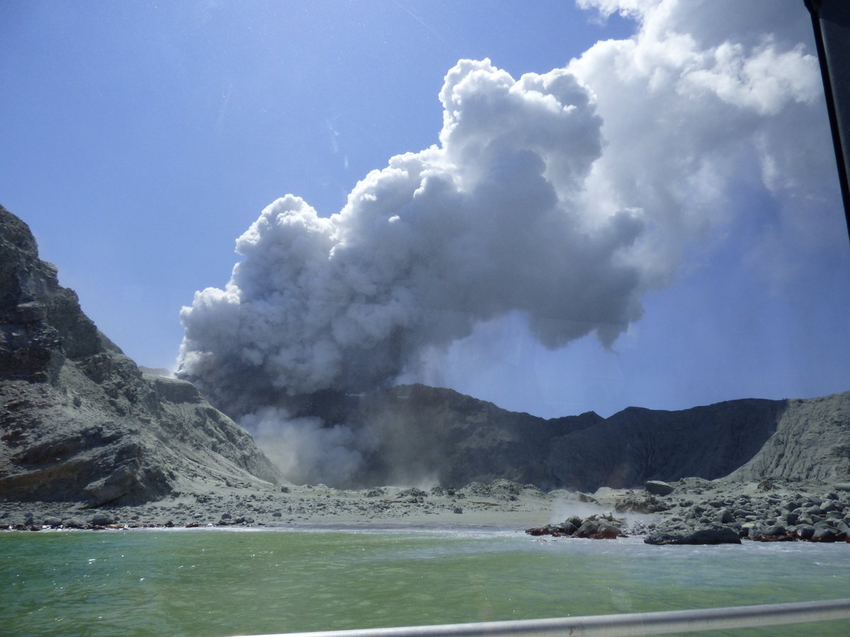 Meredith S. Palmer, Ph.D. tweet media