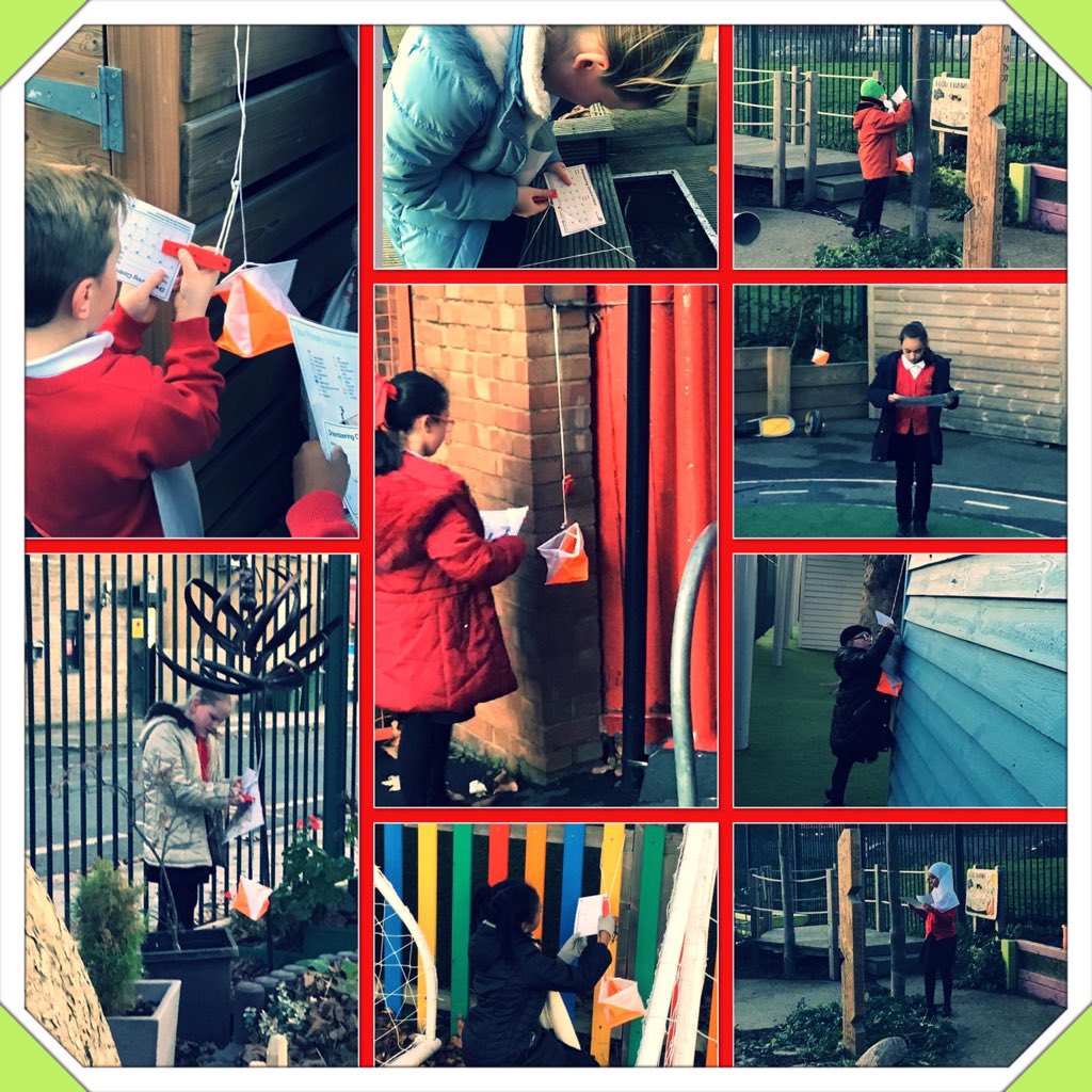 Star Primary School tweet media