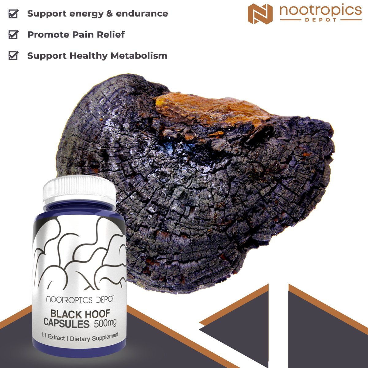 Have you ever wondered what the mushrooms look like before they get made into powders or capsules? 💭
.
.
.
Well, now you know. . .Black Hoof at least. 🍄
.
.
#nootropicsdepot #blackhoof #naturalnootropics #naturalmushrooms #mushroomextract #blackhoofextract