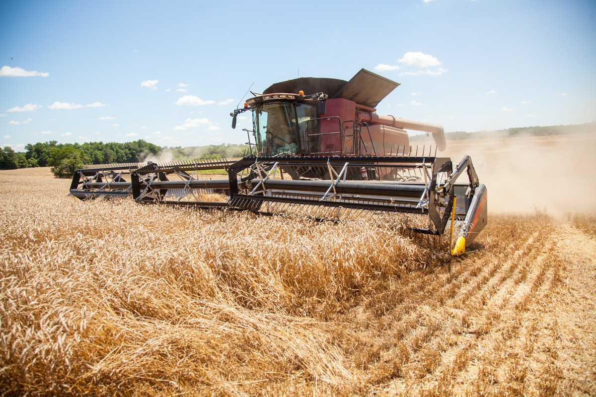 Geringhoff's tweet image. Have you added the #Geringhoff #TruFlexRazor to your #Christmas list yet? This #draperhead design provides the most flexible, ground following characteristics of any draper available today. It’s unmatched when #harvesting on uneven terrain! | #agriculture #agequipment