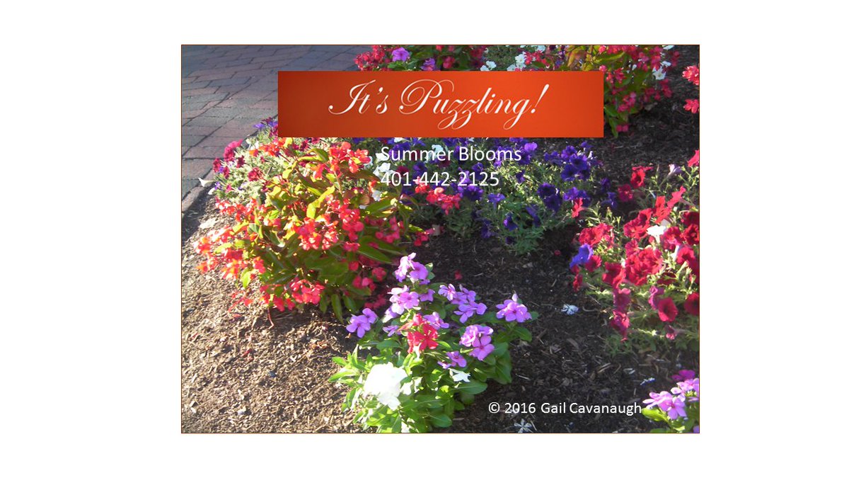 GailCavanaugh1's tweet image. Summer Blooms Jigsaw Puzzle- assorted petunias
createjigsawpuzzles.com/sell/its-puzzl…