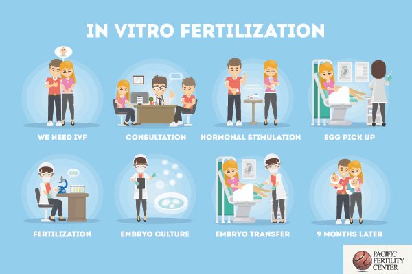 Pacific Fertility Clinic tweet media