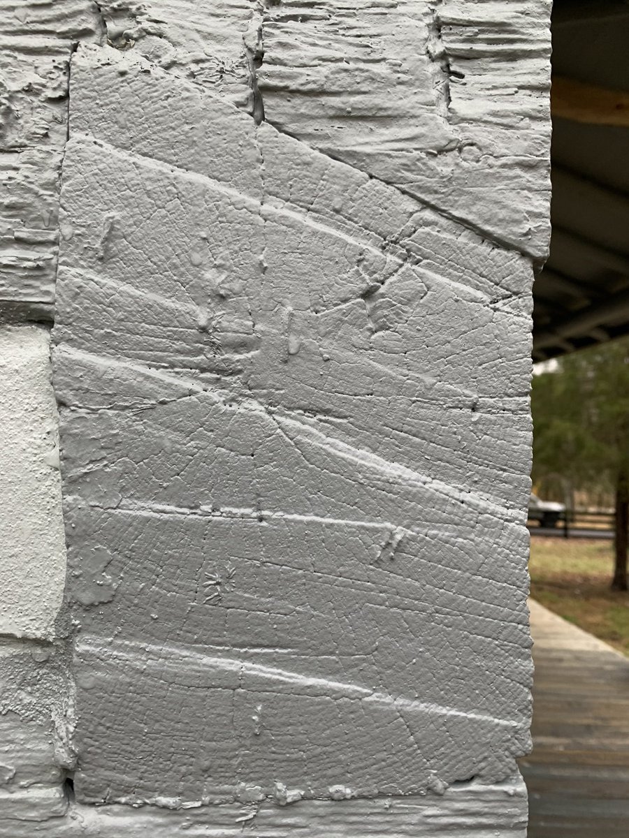 MRochner86's tweet photo. Lots of #treerings hiding under that paint @bereacollegefoc. I’ll be back for sampling! #dendro #dendroarchaeology #treeringresearch https://t.co/pm5kmV5bEi