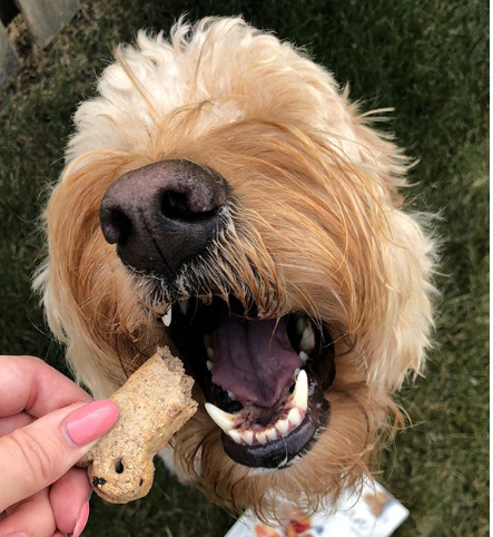 Happy Toothy Tuesday - show off those pearly whites!