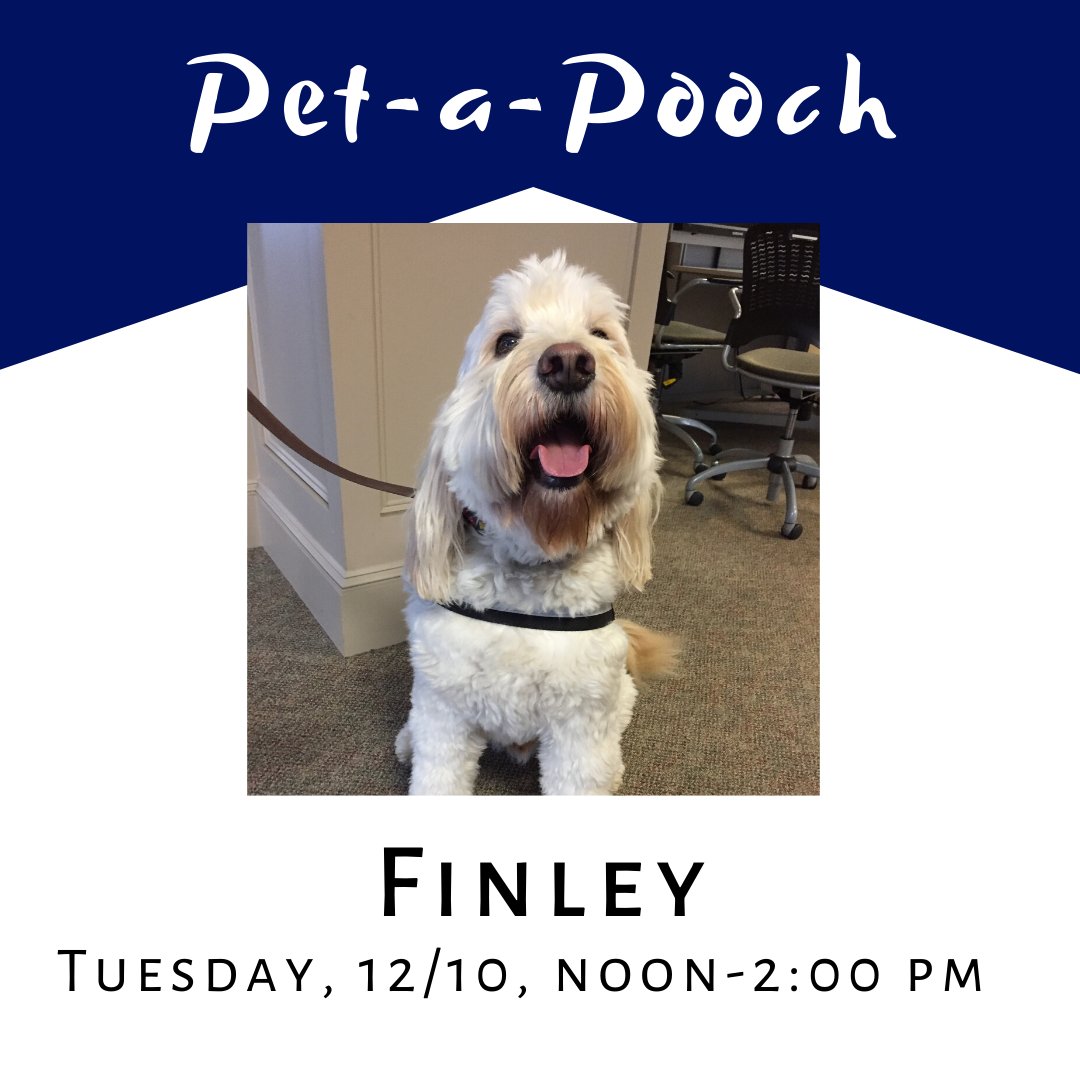 GeiselLib's tweet photo. Guess who else is visiting today? Finley will be here this afternoon, from noon to 2:00! #PetAPooch #FrazzleFreeFinals https://t.co/rzQJv1Jmhw