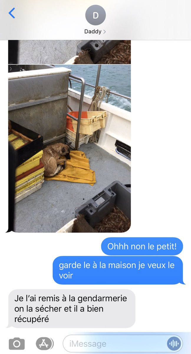 EliseHeb1's tweet photo. mon papa a trouvé un chien dans la mer ce matin, petite louloute 🥺💛 https://t.co/pTah2YWByr